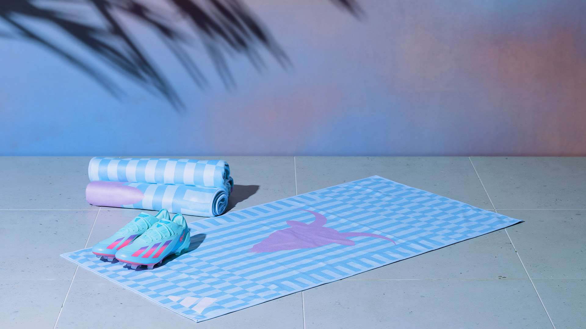 仅关注技术 仅关注技术