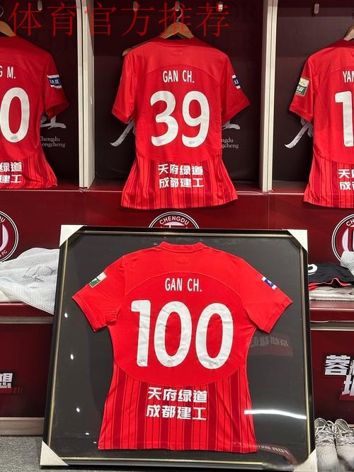 2014年中国足协业余联赛全国总决赛合肥开赛